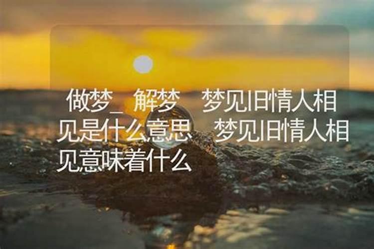梦到蛇是什么寓意梦到蛇是好是坏