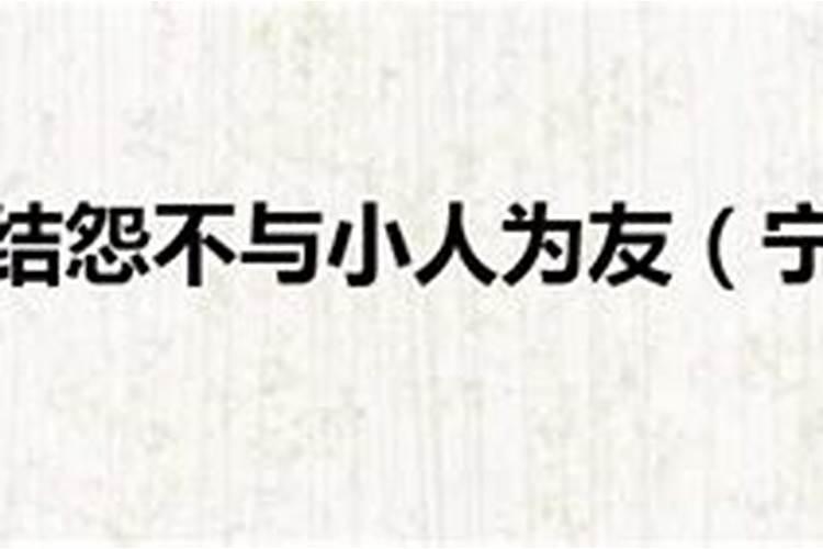 梦见一只猫下了一窝小猫抓我的预兆