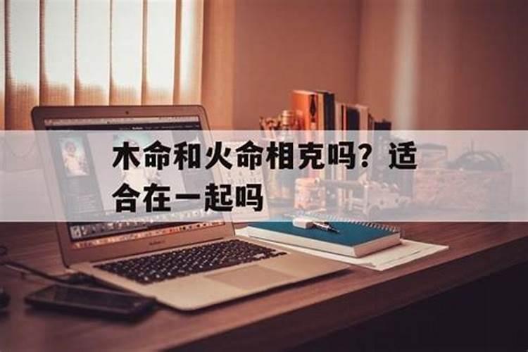 属虎三合和三冲属相