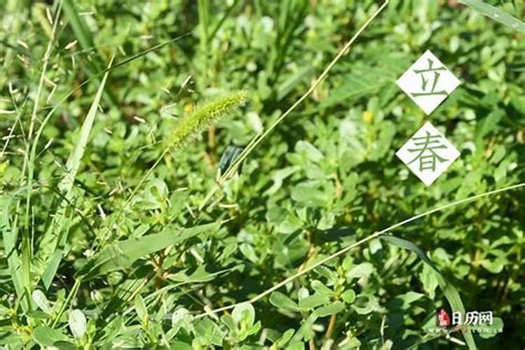 梦到吃水果有什么征兆