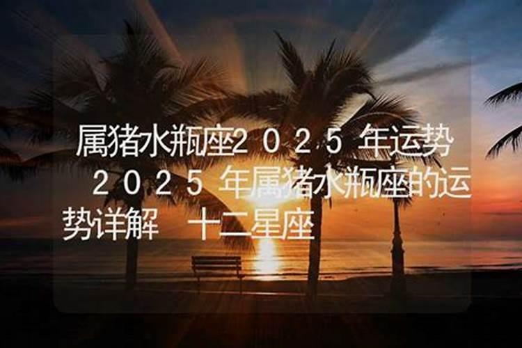 属虎的女人2025年运势全年