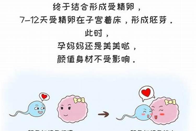 湖北冬至吃汤圆还是饺子 湖北武汉冬至吃饺子