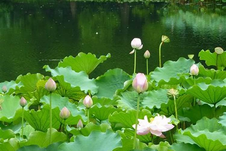 谁知道鬼节要做什么吗？比如说什么禁忌的