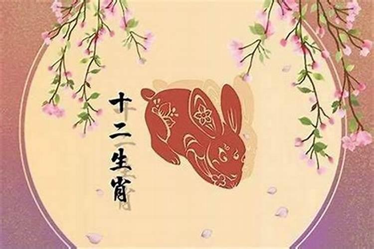 87年属兔一生转折点