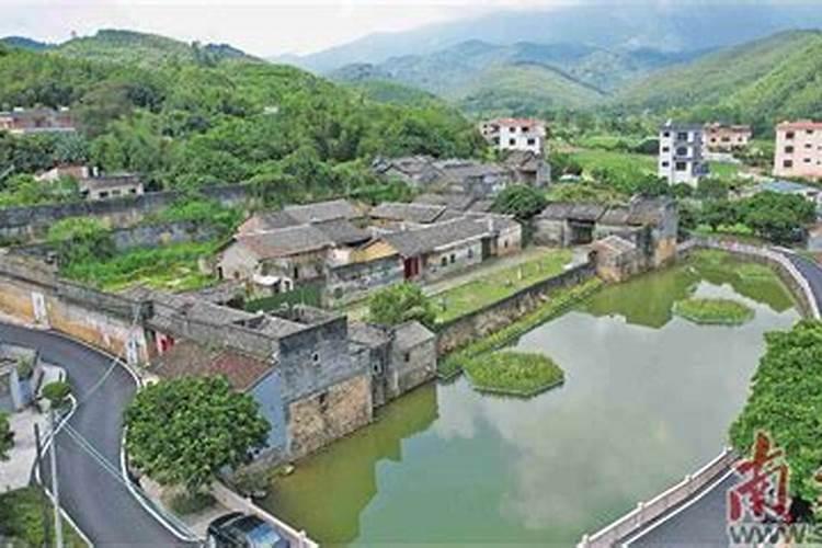 梦见两只小狗跟着我
