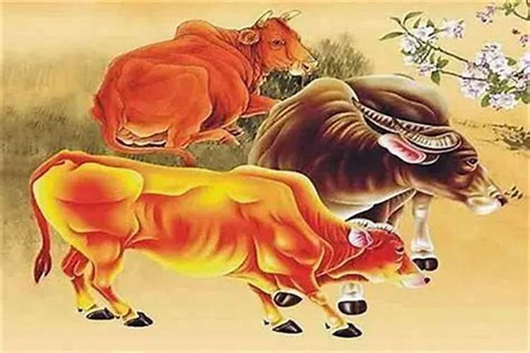 犯太岁戴什么首饰能化解
