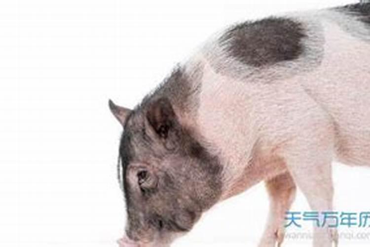 梦见自己疯了什么意思