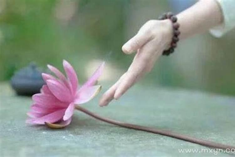 梦见死去的兄弟在说话