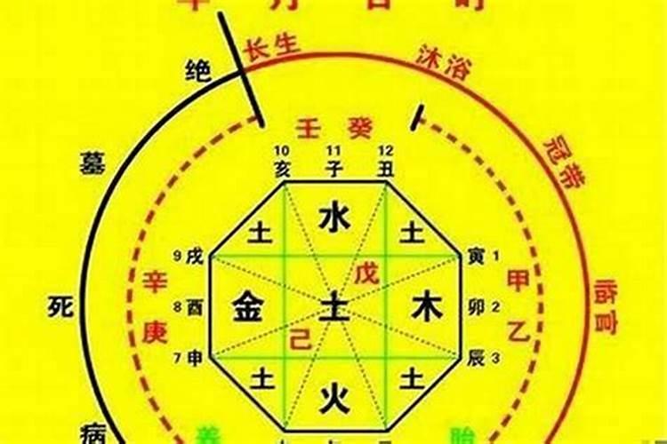 中等偏上八字什么叫用神有力