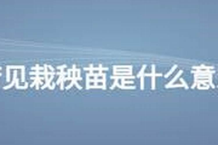 西四宅大门蕞好方位如何定位？