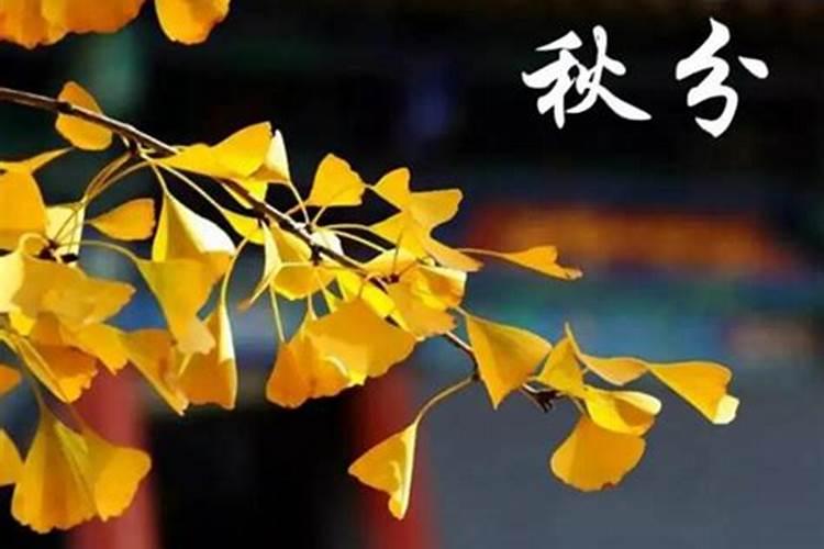 秋分时节饮食宜忌,秋分养生的注意事项