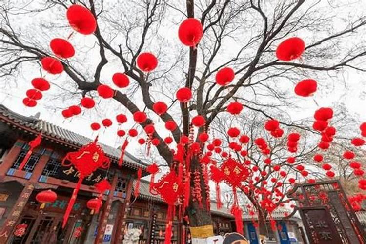81年属鸡人在2025年的全年运势