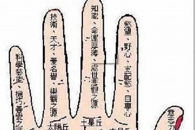 掌纹算命女人 命运线断开好吗