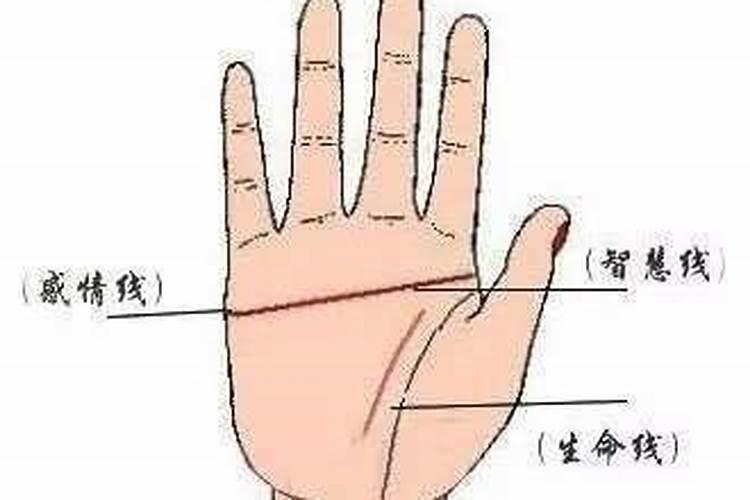 手纹乱对运势的影响？