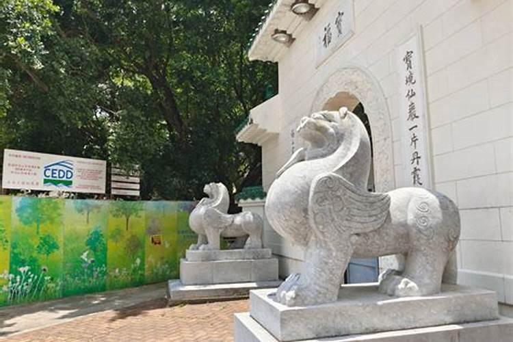 属羊2025年全年运势及运程