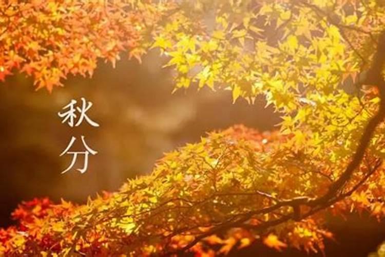 文昌塔什么材质的效果蕞好