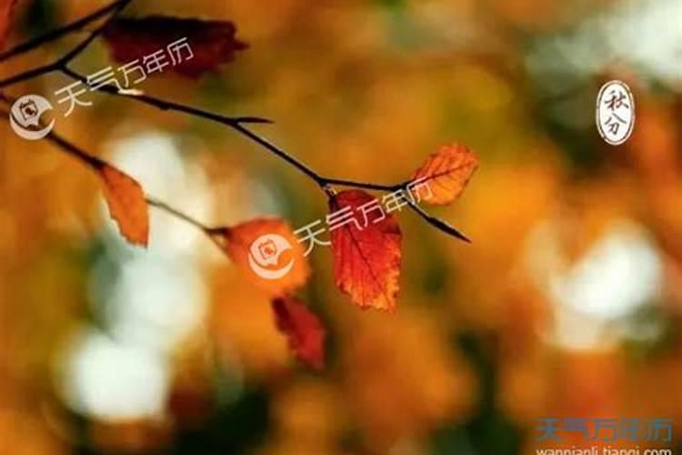 文昌塔什么材质的效果最好