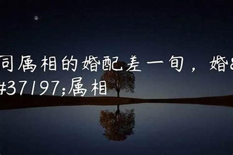 属相相同星座相同的人在一起行吗,跟同属相的人结婚不好么