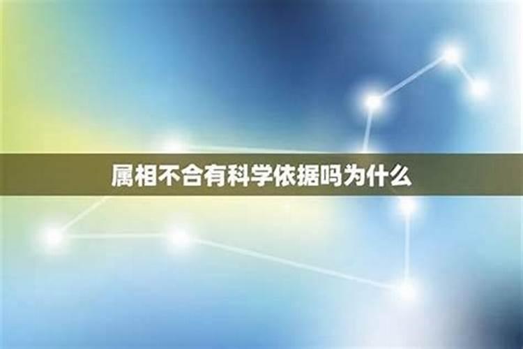 扫墓可以带包子和油条吗？