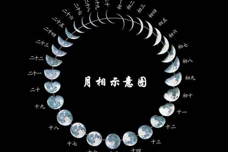 农历十月初一是阳历的哪一天