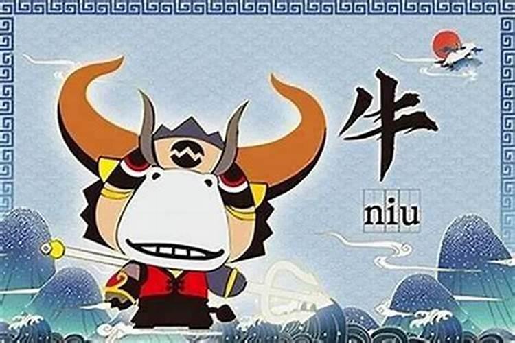 属牛人今年犯太岁如何化解
