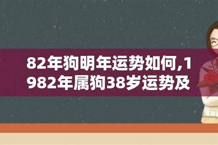 82年属狗人2025运势运程