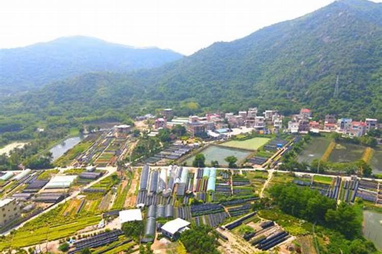 2025年丙寅比枭是什么意思