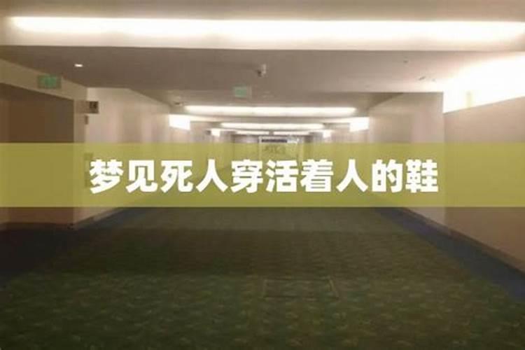 属鼠人在2025的运势如何