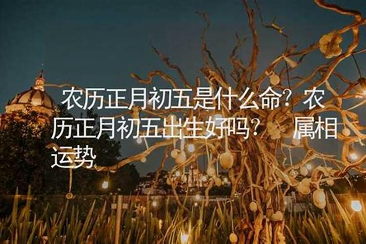 65的蛇在2025年运势