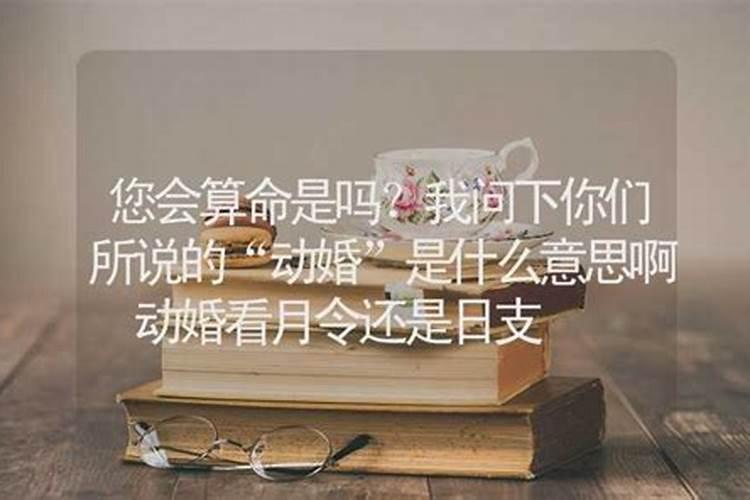 算卦中说的“动婚”具体是什么意思？是处对象的意思还是要结婚的...