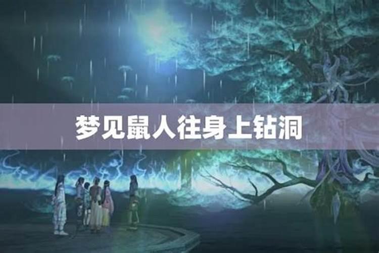 梦见马跑了去找又找不到