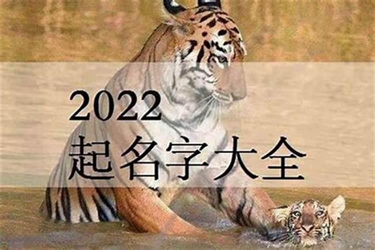 2025年10月23号出生的宝宝取名大全