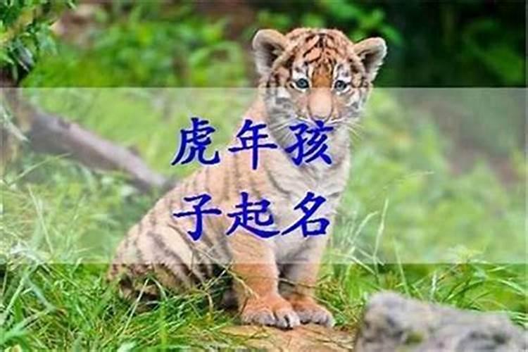 2025年3月26日出生的男孩子起什么名字