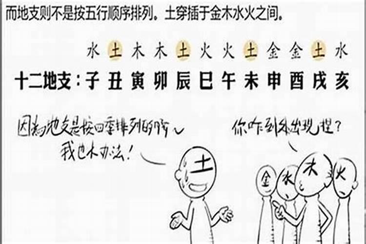 2025年太岁年有哪些属相
