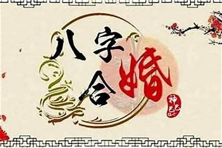 1978年属马的人下半年运程 财运健康解答？