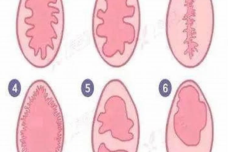 梦见掉进粪池