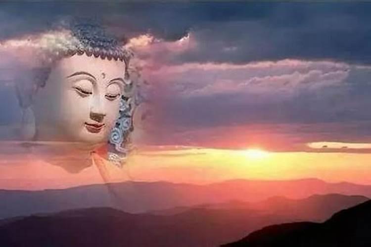 太岁到底是什么？太岁可以泡水里一直活下去吗？