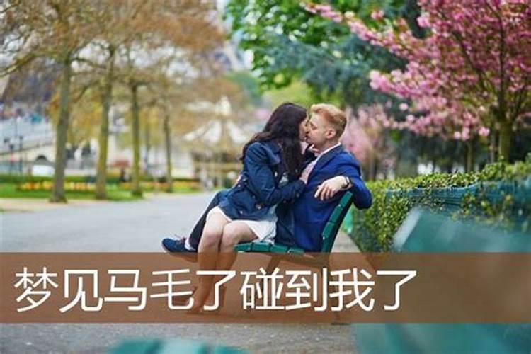 梦见马受惊了的预兆