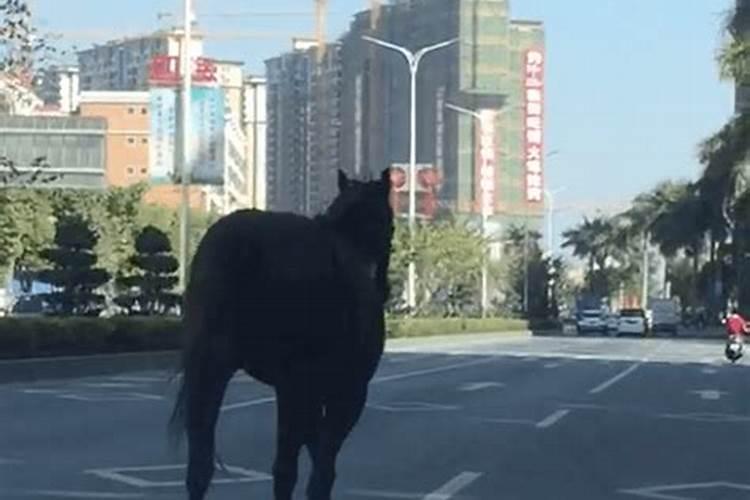 梦见马惊跑的预兆