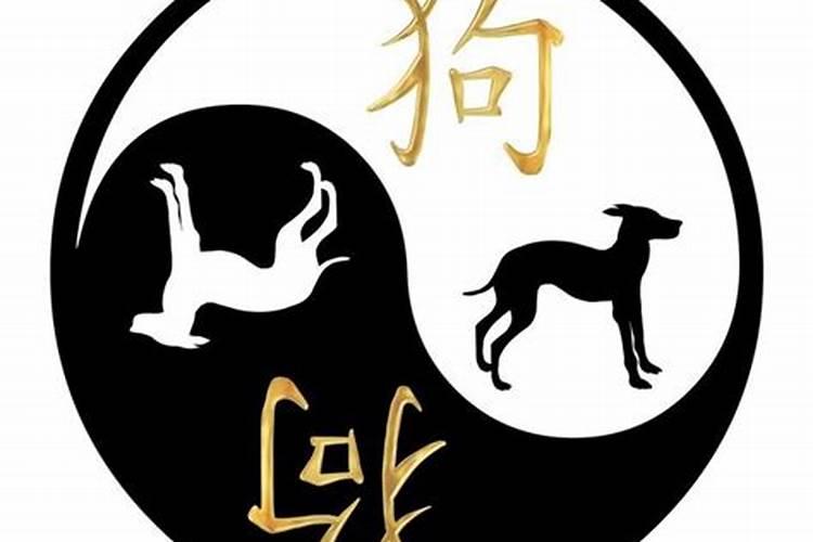 1982年属狗女士[43岁]2025年情感运势大揭秘,婚姻发展如何？