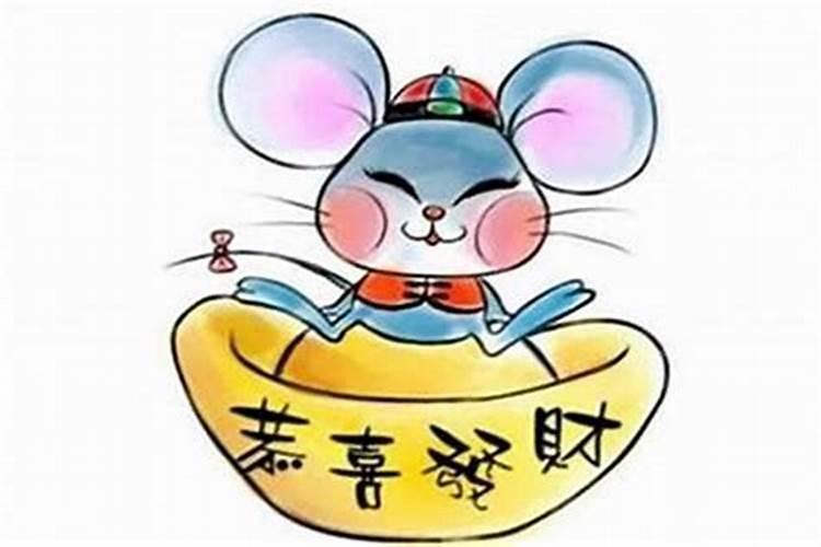 84年鼠哪些年犯太岁