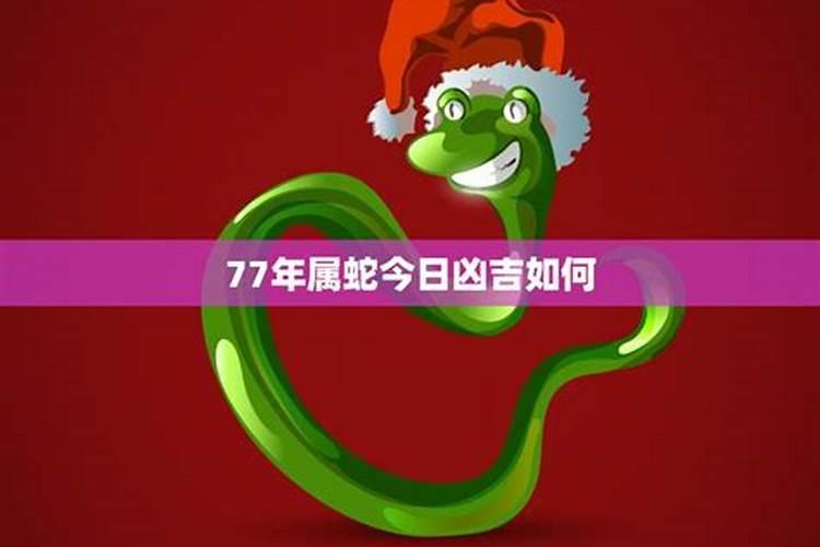 77年属蛇男2025年的运势和婚姻状况