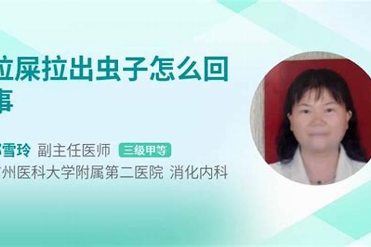 梦见吃苹果发现半条虫子的预兆
