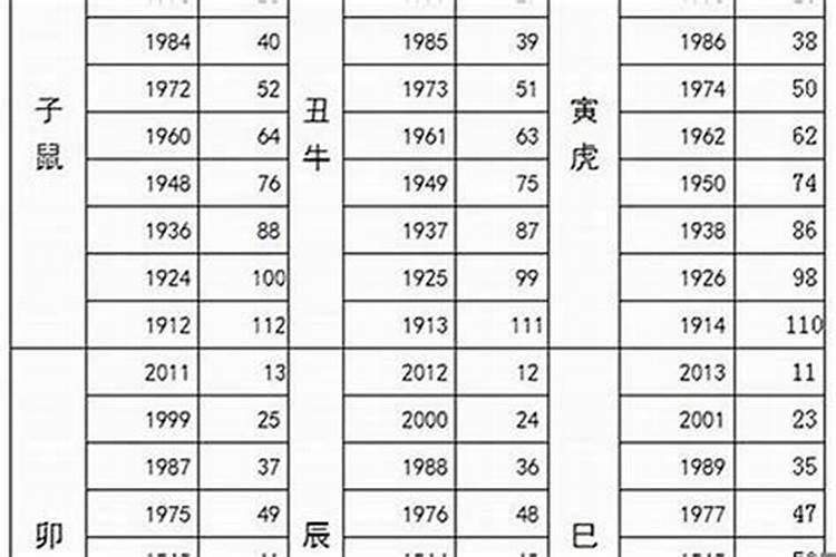 属龙的男人在1976出生在2025全年运势怎么样