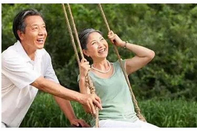 重阳节送菊花的寓意是什么