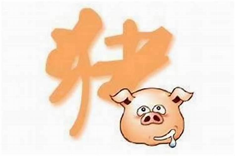 属猪男2024年运势运程 1971年属猪男在2024年运势