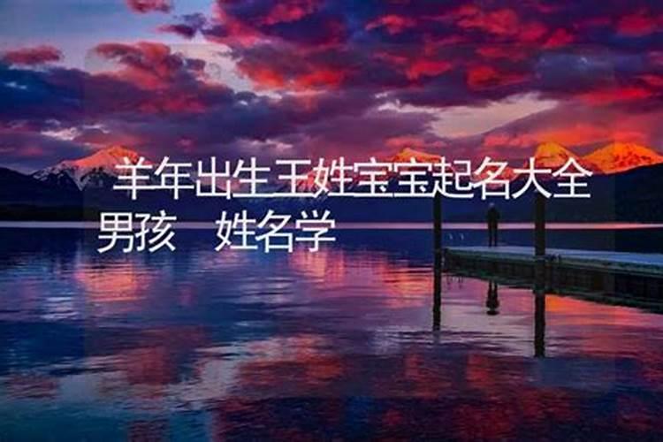 梦见刺猬抓小老鼠的预兆