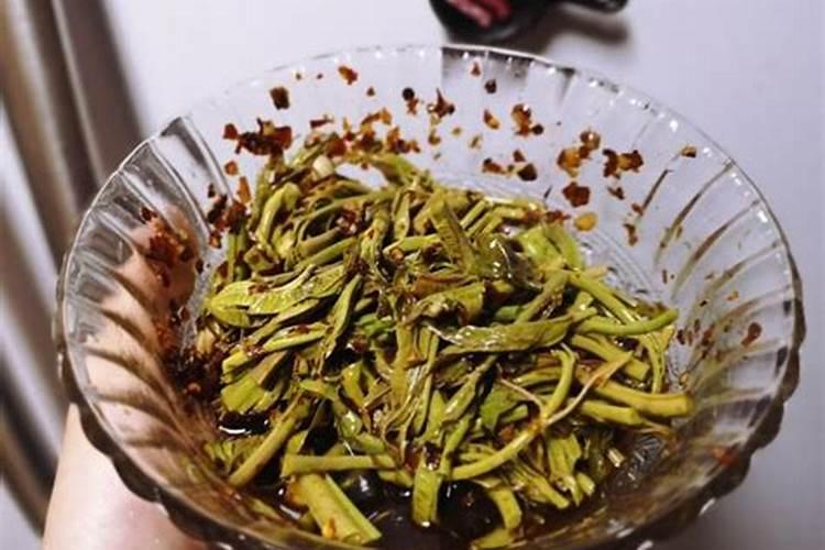 梦见几条蛇卷成一团的预兆