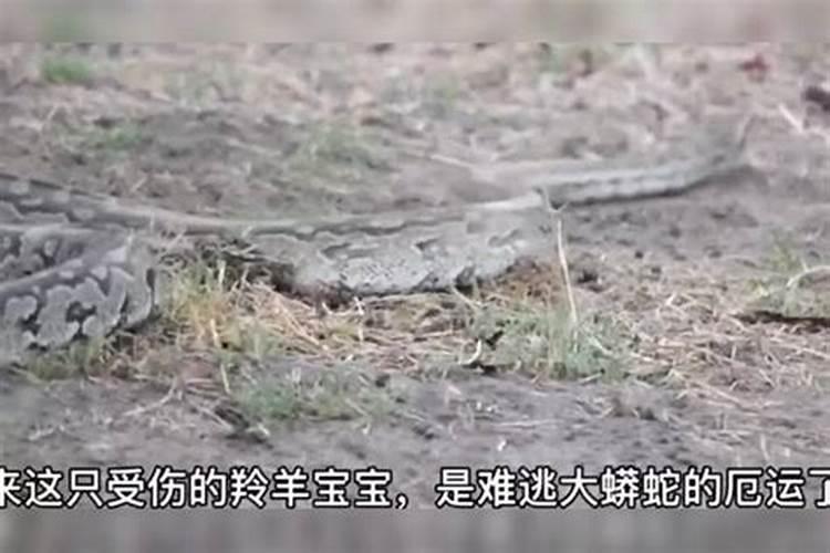 元宵节有哪些独特的民俗活动