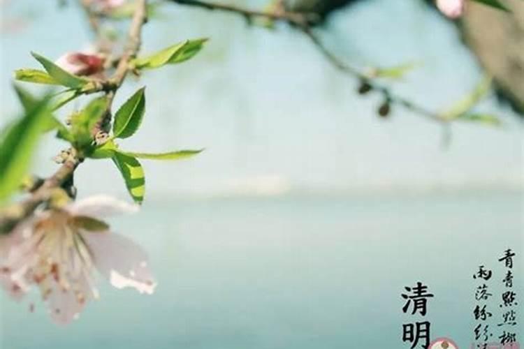 农历十月初一阳历是哪一天